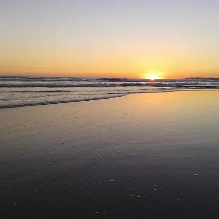 La Morera, El Palmar (Andalucia)